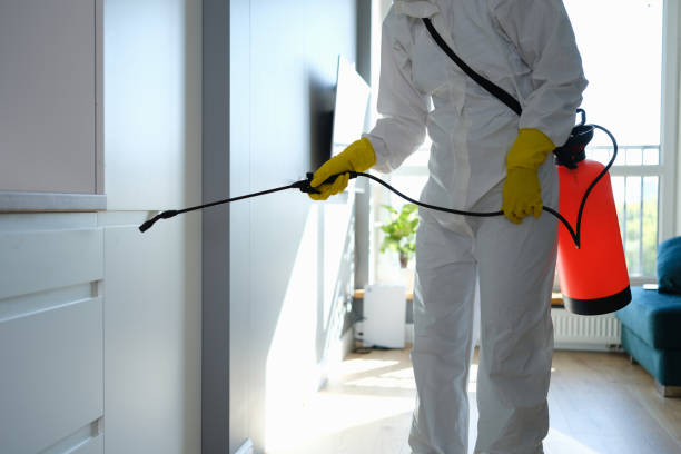 Mold Removal Process in Blawnox, PA