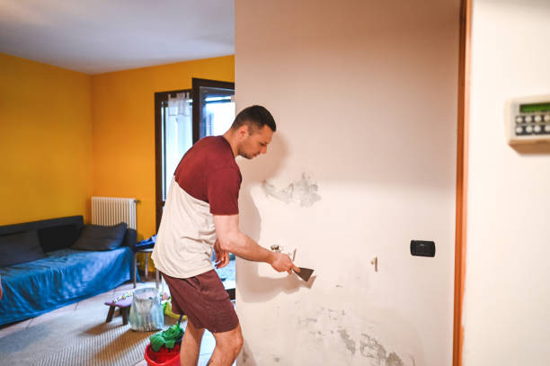 Best Water Damage Restoration  in Blawnox, PA